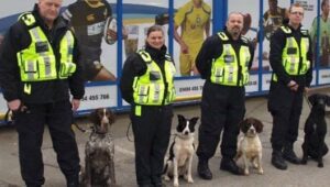 Professional K9 Security Services & Guard Dog Units Across the UK